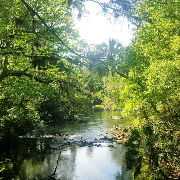 Hello! Welcome to my Closet 🥰 - Picture 2 of 5